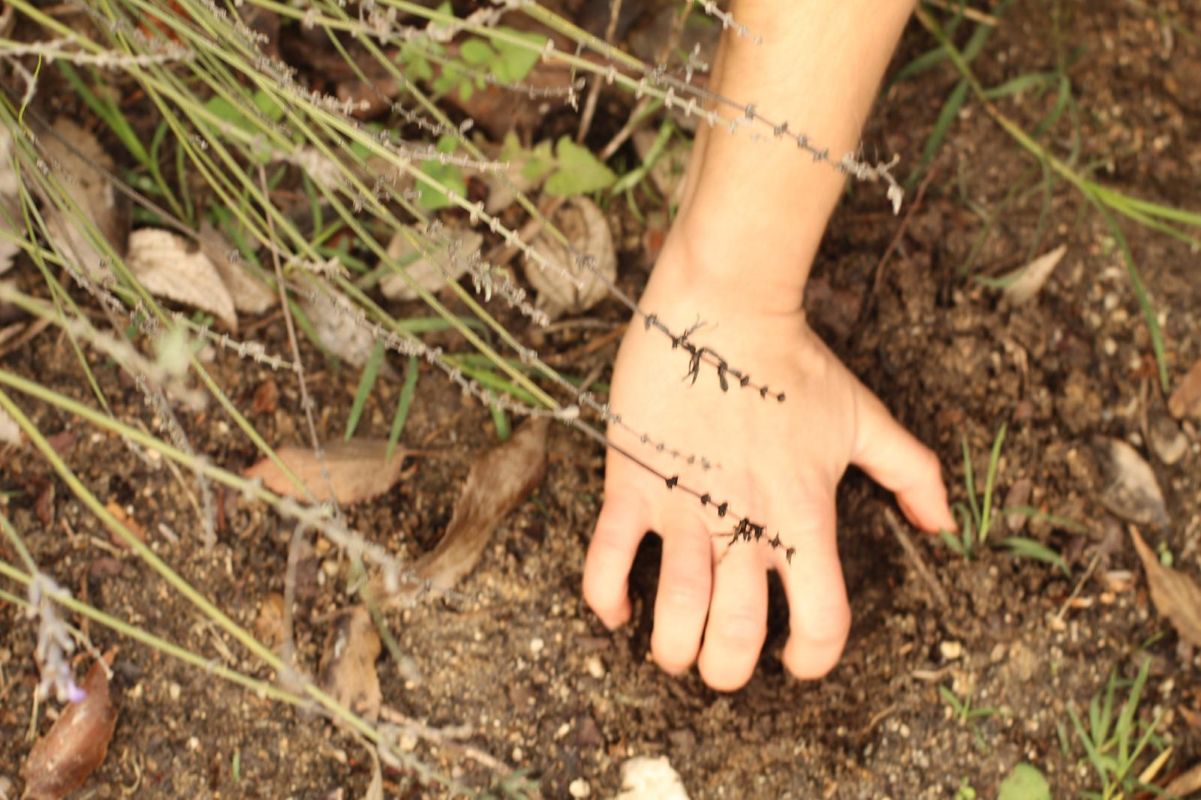 Circular Design for Interiors: Sustainable Wall Finishes with Recycled Plaster