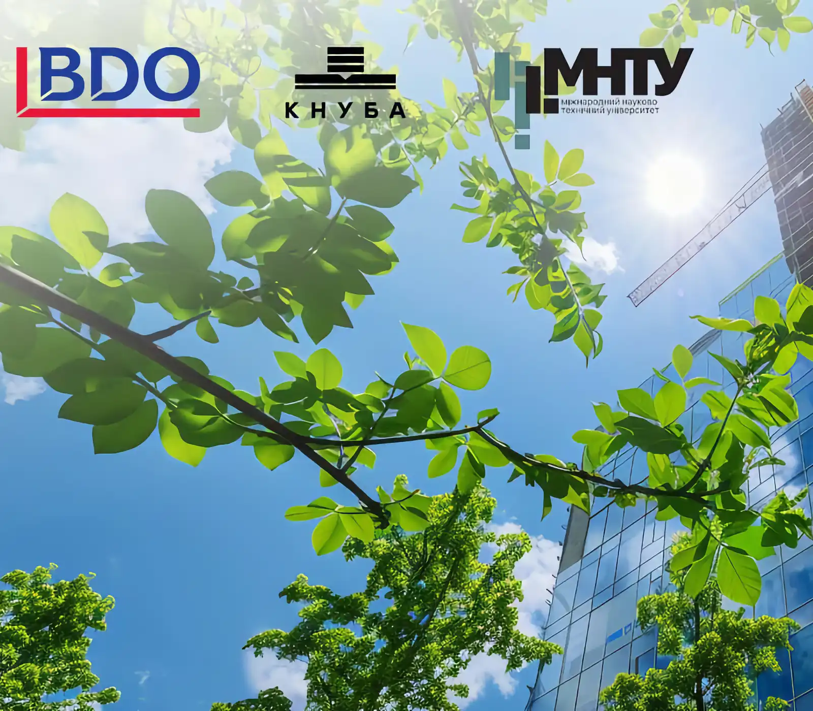 BDO